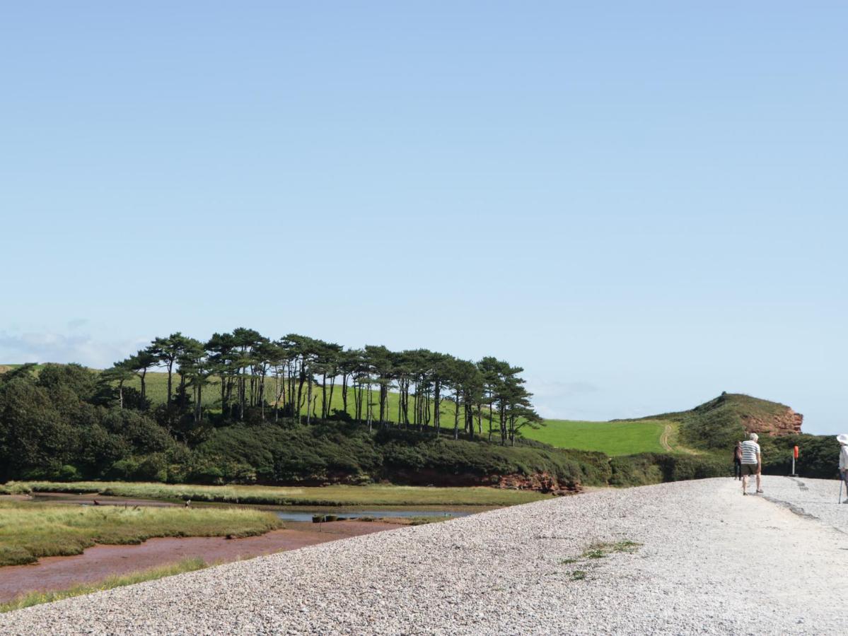 Mackerel Cottage Budleigh Salterton Exterior photo